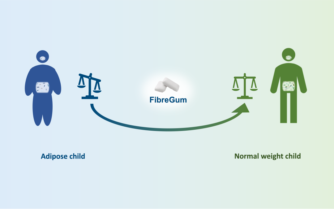 The FibreGum study – Changing the course of obesity